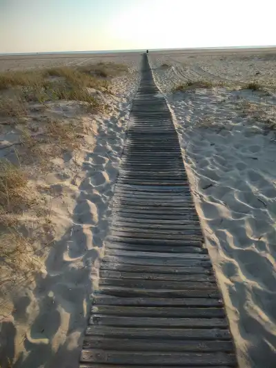 Boardwalk