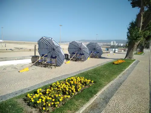 Umbrellas
