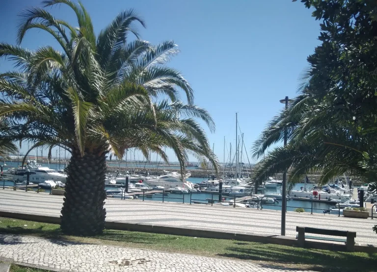 Figueira da Foz Marina